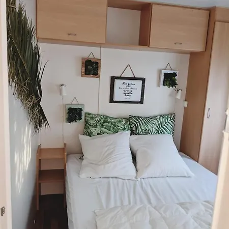 Air-conditioned Mobile 